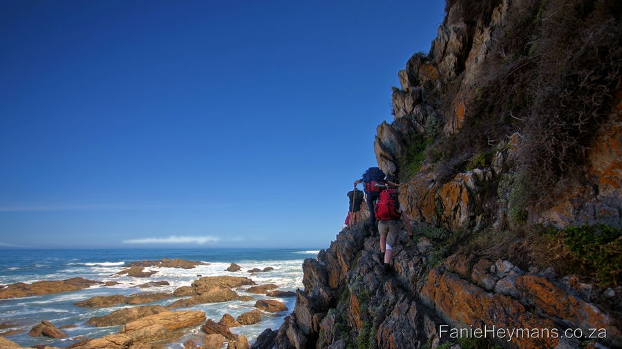 Climbing rocky cliffs. The Otter 5-day hiking trail is situated on the coastal section of the Tsitsikamma National Park, between Storms- River Mouth and Natures Valley where it ends. The hiking trail is a total distance of 45km. It is officially the oldest and undoubtedly the most iconic hiking trail in South Africa.