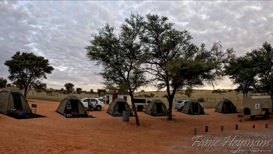 REA Guest farm camp site
