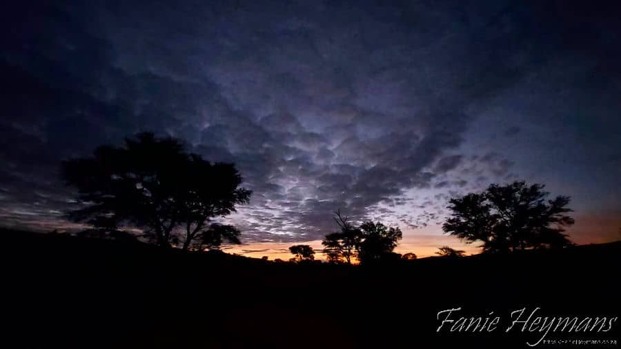 REA Guest farm sunset